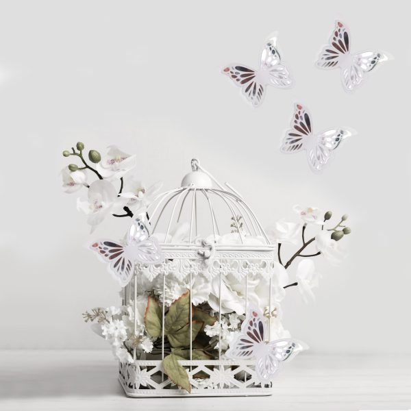 Mariposas Blancas - Imagen 3